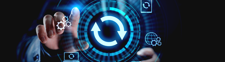wise-sync-wise-pay-4-6-10-1-6-10-update-blog-width