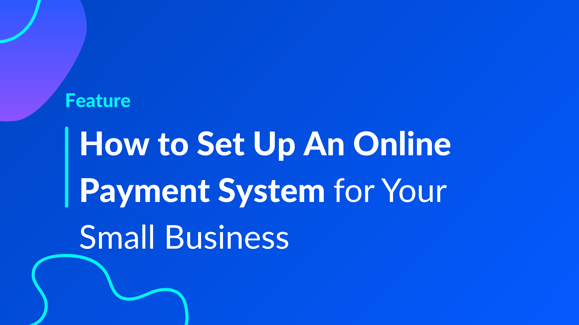 How To Set Up Online Payments For Your Small Business | WisePay